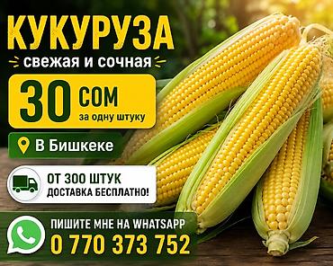 Кукуруза В розницу