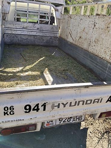 20 тонна: Hyundai Porter (Hyundai AIC) — компактный бортовой грузовик. Основные — 2