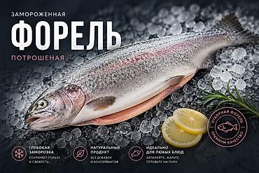 форель мольки: Форель потрошенная, замороженная (глубокая заморозка) - Отборная рыба — 1