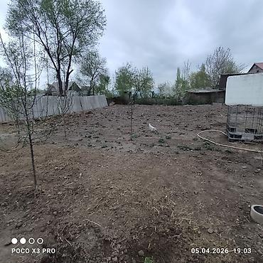 Печи для бани, сауны: Баня/мойка с душем и печью - Просторное помещение, облицованное — 17