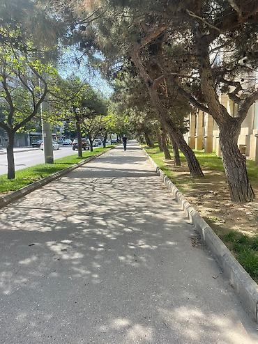 Digər daşınmaz kommersiya əmlakı icarəsi: Salam.Zehmet olmasa vapcatla elaqe saxliyin,fikri ciddi olan sexsler — 16