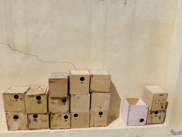 Akvarium aksessuar və ləvazimatları: Folluq gedən yuvalalar (folluqları yoxdur) valnisti çex və jumbo üçün