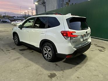 лампы светодиодные hb3: Subaru Forester: 2020 г., 2.5 л, Вариатор, Бензин, Кроссовер — 4