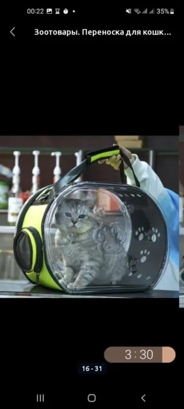 Зоотовары: Зоотовары. 
Авто кормушка и поилка фантан — 11