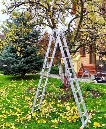 Другие комнатные растения: 🌿 Обрезка плодовых деревьев