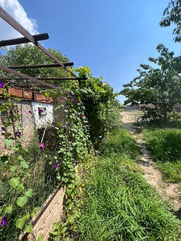 Продажа домов: Времянка, 47 м², 2 комнаты, Агентство недвижимости, Косметический ремонт — 3