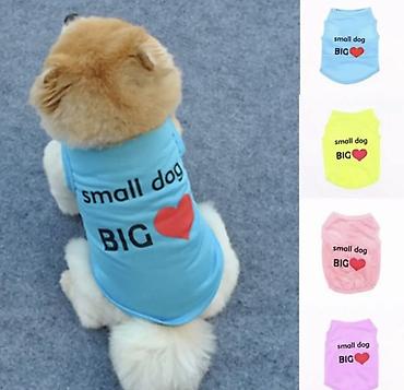 Зоотовары: Одежда для кошек и собак. Все НОВОЕ РАЗМЕР И ЦЕНА УКАЗАНЫ НА ФОТО — 13