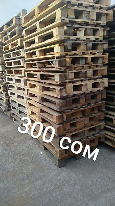 палетты: Продаю поддоны паллеты 120/80120/100 размер евро стандарт — 2