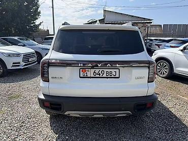 haval m6: Great Wall Олень: 2024 г., Внедорожник — 8