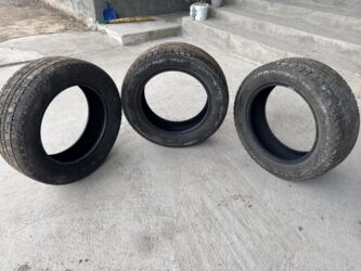 шины для грузовых автомобилей: Шиналар 205 / 60 / R 16, Кыш, Колдонулган, Комплект, Жеңил унаалар, Корея, Roadstone