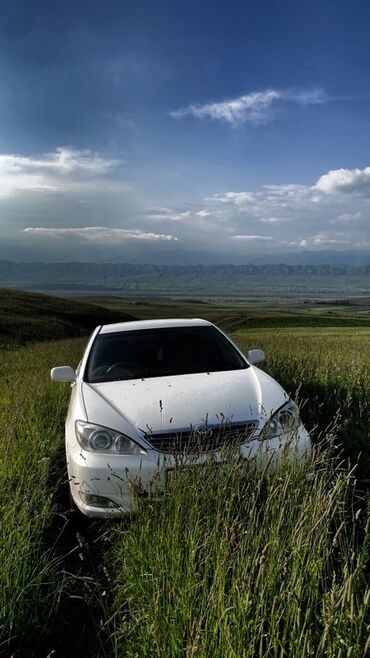 диски на авто 13: Toyota Camry: 2002 г., 2.4 л, Автомат, Бензин, Седан