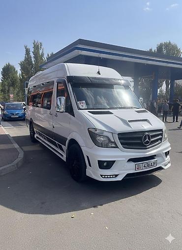 кадамжой: Баруучу жер: Чаек, Орундардын саны: 19, Лицензия №: 08В006490 — 6