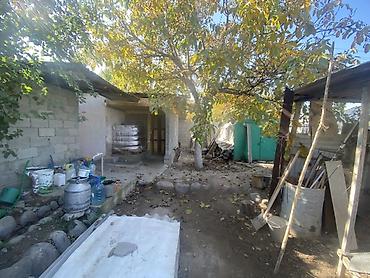 лавки: 3 комнаты, 120 м², 7 соток, Бишкек, Собственник — 8