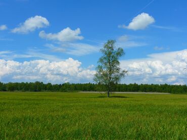 дом в красном речке: 8 соток, Для строительства, Красная книга