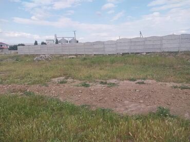 узак моонотко батир: 8 соток, Курулуш, Кызыл китеп