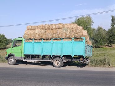 купить корм для перепелов несушек: Арпа саман сатылат салома солома ячменная 116 штук