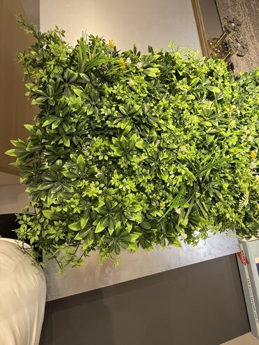 Süni qazon: Suni qazonarin ve dekorlarin topdan ve perekende satisi sifaris ucun -da lalafo.az — 7 Süni qazon: Suni qazonarin ve dekorlarin topdan ve perekende satisi sifaris ucun — 7