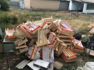 бала: 200 штук бар ящик — 1