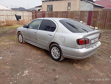 новые авто в бишкеке: Nissan Primera: 2001 г., 2 л, Механика, Бензин, Лифтбек — 2