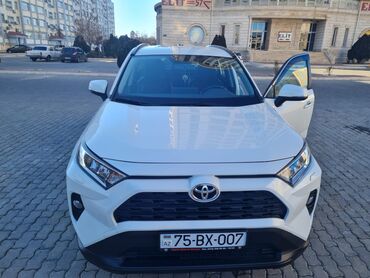 Toyota: Toyota RAV4: 2 l | 2020 il Hetçbek