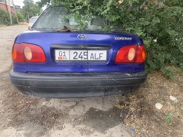 toyota корола: Toyota Corolla: 1998 г., 1.6 л, Механика, Бензин, Седан
