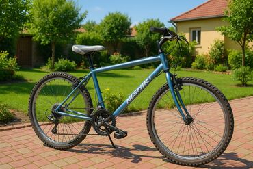 Şəhər velosipedləri: İşlənmiş Şəhər velosipedi 24"