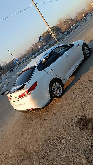 tuning: Спортивный универсальный спойлер TRD. Подходит на Toyota Camry 70 — 5