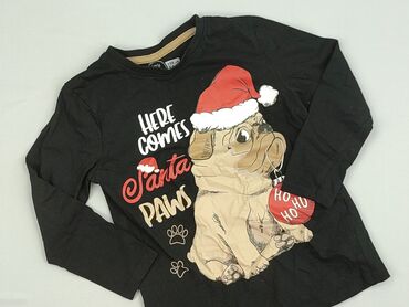 czapka do czarnej kurtki: Bluza, Little kids, 5-6 lat, 110-116 cm, stan - Bardzo dobry