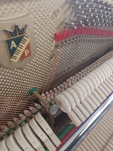Pianolar: Pianolar — 8
