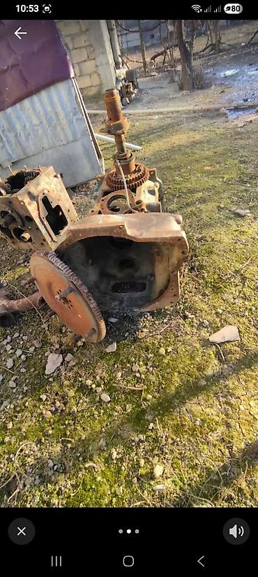 hyundai ölüxana фото: Salam gördüyünüz kojik satılır. isdəyən narahat etsin ünvan ağsu — 2