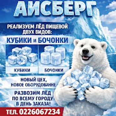 айсберг: 20 СОМ за килограмм .ЛЁД для напитков от ICEBERG Цена на пищевой лёд — 1