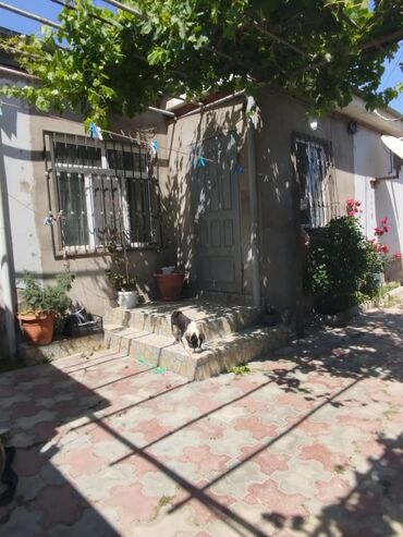 Həyət evləri və villaların satışı: 3 otaqlı, 110 kv. m, Kredit yoxdur, Yeni təmirli — 9