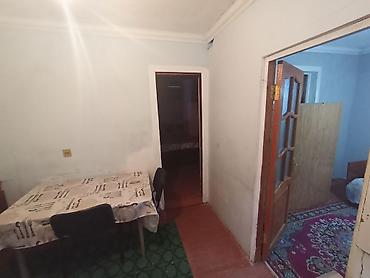 ərazi: 75 kv. m, 2 otaqlı, İnternet, Qaz, İşıq — 6