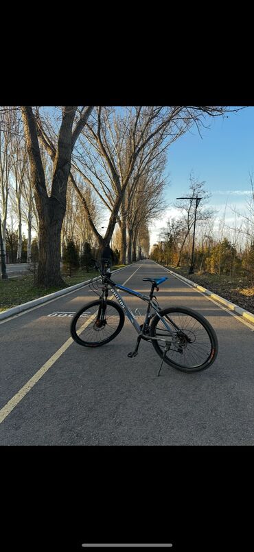 Городские велосипеды: Городской велосипед, Б/у