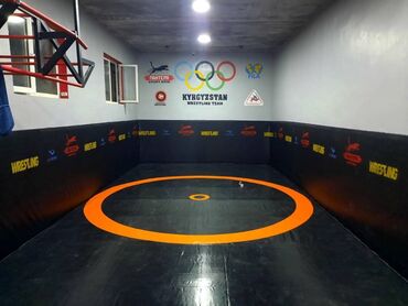 Другие тренажеры: Профессиональные спортивные маты для единоборств Назначение: - борьба — 33