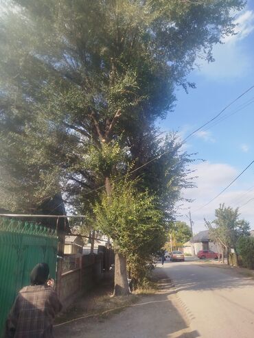 трактор мтз 89: Услуги: спил и обрезка деревьев возле домов и линий электропередачи -