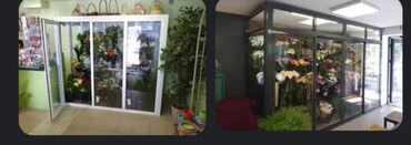 установка посудомоечных машин: Холодильное оборудование для цветочных витрин. монтаж, установка