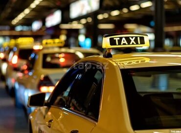 ищу работу повара: Курьер требуется, С личным транспортом, Ежедневно оплата, Без опыта