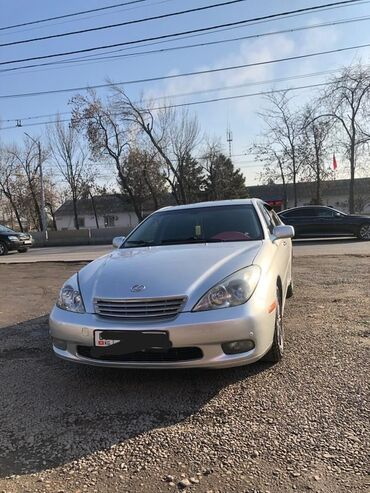 шины пассат: Lexus ES: 2003 г., 3 л, Автомат, Бензин, Седан