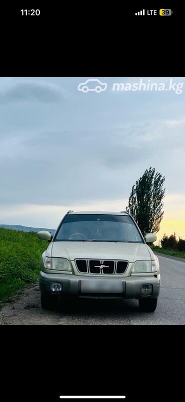 машина волва: Subaru Forester: 2000 г., 2.5 л, Автомат, Бензин, Кроссовер