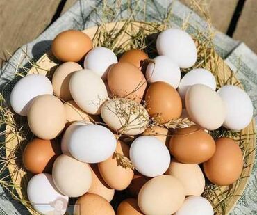 жүгөрү сатылат: Продаю домашние куриные яйца. очень вкусные и полезные. Всегда