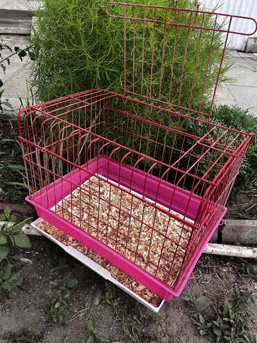 Qəfəslər: Etrafli vp 051 494 09 86 Qefeslerin her biri satişda var qefes bitende — 9