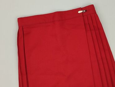 spódniczka plisowane mini: Spódnica damska, 7XL