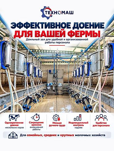 дойка коров аппаратом: Доильный зал Melasty профессиональная система для молочных ферм ПОД — 5