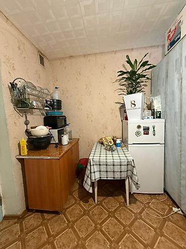 18: 1 комната, 18 м², 5 мкр Гостиничный тип, 2 этаж, Свежий ремонт — 6