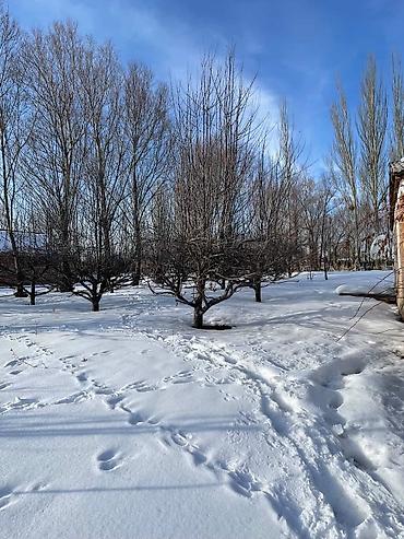 Продажа домов: Дом, 35 м², 7 комнат — 15