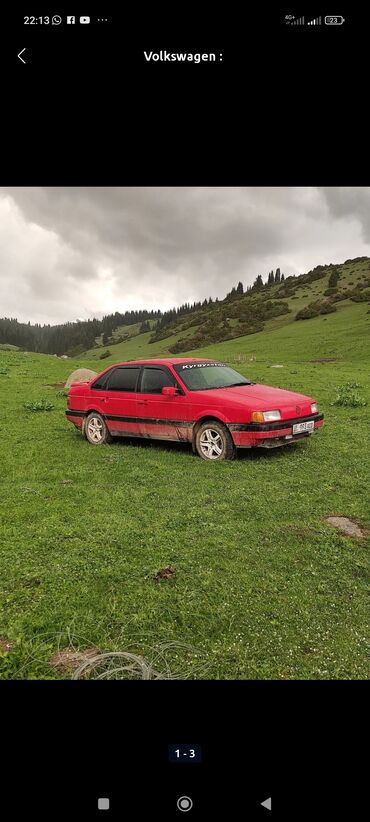 фаст фуд на колесах купить бу: Volkswagen Passat: 1989 г., 1.8 л, Механика, Бензин, Седан