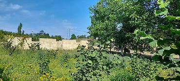 ecemı kıraye evler: 4 sot, Tikinti, Mülkiyyətçi, Kupça (Çıxarış) — 6