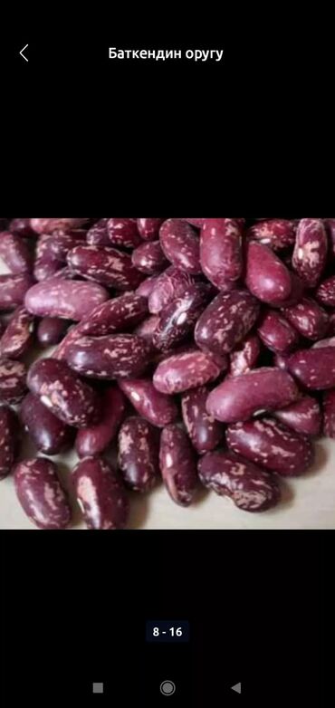 Сухофрукты, орехи, снеки: Ассалом алейкумбаткендин натуральный оругуарзан оптом сатылат — 4