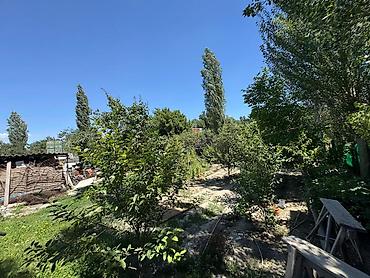 Продажа коттеджей и домов: 🏡 Продаю! Кирпичный дом 210 м² на большом участке 9,5 сот – 157 000 — 5